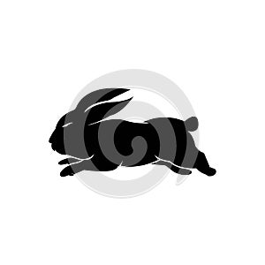 rabbit logo icon vector design