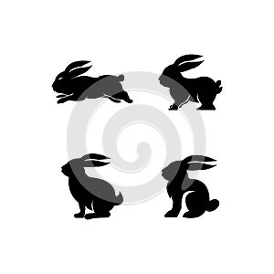 rabbit logo icon vector design