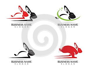 Rabbit Logo template vector icon design
