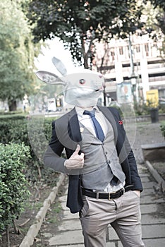 Rabbit mask man sitting on sofa