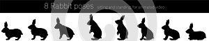 Rabbit movements for animation, standing up Silhouette