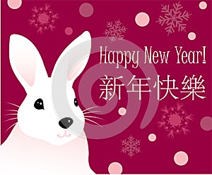 A rabbit with new year greetings