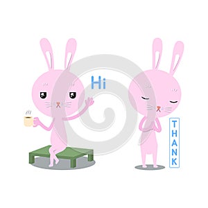 Rabbit pink Hi and Thankyou