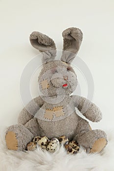 Rabbit quail egg easter