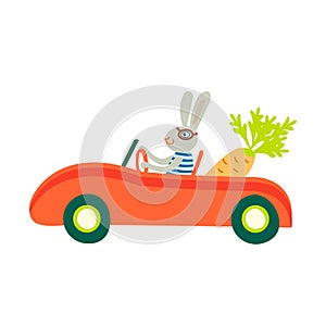 Rabbit in red retro car with carrot
