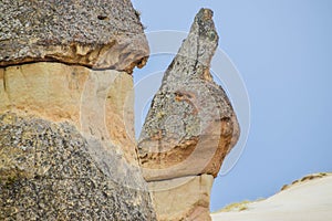 A rabbit rock in cappadocia in Turkey
