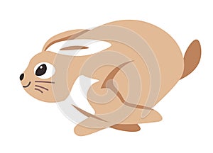 Rabbit running fast, hare animal in motion vector