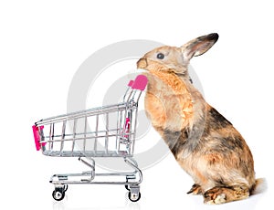 Rabbit with shopping trolley. isolated on white background