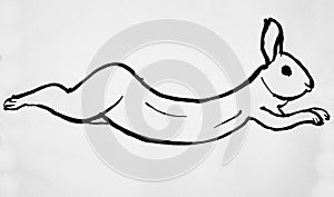 Running Rabbit drawing isolated