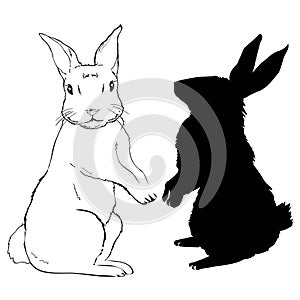 Rabbit silhouette - vector illustration