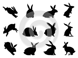 Rabbit silhouettes