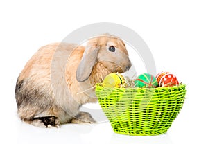 Rabbit sitting with basket easter eggs. isolated on white background