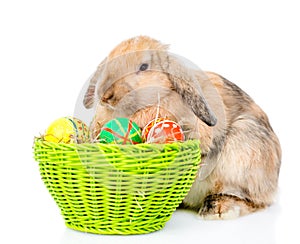 Rabbit sitting with basket easter eggs. on white