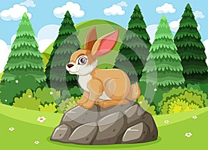 A rabbit sitting on rocks in a forest clearing