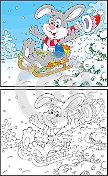 Rabbit sledding