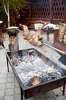 Rabbit on a spit on the grill roasts