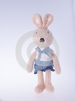 rabbit or stuffed bunny on a background.