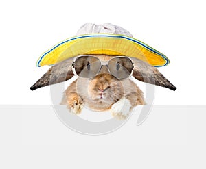 Rabbit in sunglasses and hat peeking from behind empty board. isolated