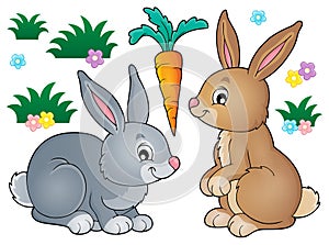 Conejo tema imagen 1 
