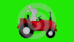 Rabbit is a tractor driver. Animation of cartoon red tractor with Bunny or Hare. Farm vehicle rides on road. Alpha channel. 4K.