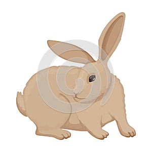 Rabbit vector cartoon icon. Vector illustration bunny on white background. Isolated cartoon illustration icon of rabbit.