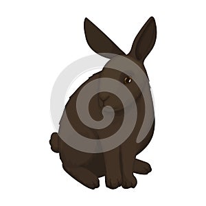 Rabbit vector cartoon icon. Vector illustration bunny on white background. Isolated cartoon illustration icon of rabbit.