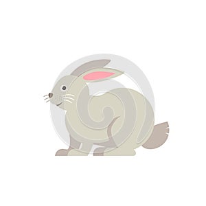 Rabbit vector flat illustration isolated on white background. Cute farm animal rabbit icon cartoon character.