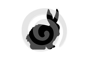 Rabbit vector silhouette eps10