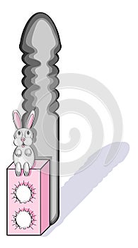 Rabbit Vibrator photo
