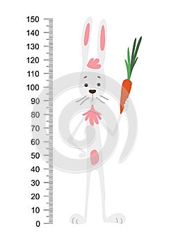 Rabbit wall meter. Cute bunny with a gift on a background of flowers. Stadiometer. Vector illustration. photo