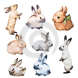 Rabbit Watercolor Set Flat Illustration. Isolated Colorful Cute Baby Bunny Collection. Pretty Little Hare Character
