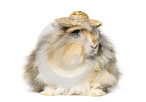 Rabbit wearing a straw hat