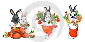 Rabbit Year. Bunny rabbits with New Year decorative elements. watercolor illustration isolated on white.