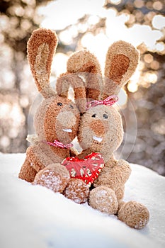 Rabbits in love with a heart