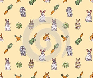 Rabbits pets animal cabbage and carrots seamless pattern