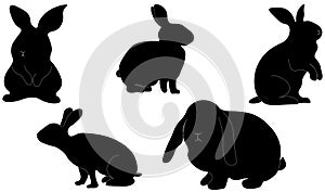 Rabbits silhouettes set isolated on white background. Vector illustration.