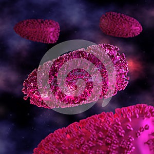 Rabies Cell - in fluid