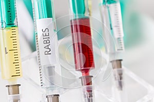 Rabies vaccination photo