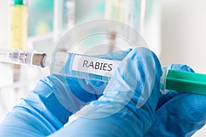 Rabies vaccination photo