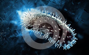 Rabies virus