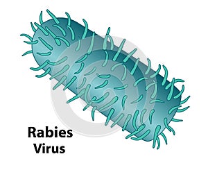Rabies External Feature of the Virus photo