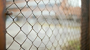 Rabitz Metal fencing mesh in a close up view