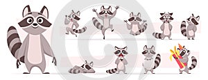 Raccoon animal. Wild mammal cute smile playing and jumping in various action poses forest dweller exact vector cartoon