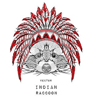 Raccoon in the colored Indian roach. Indian feather headdress of eagle. Hand draw vector illustration