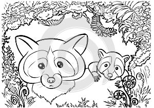 Raccoon family coloring