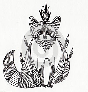 Raccoon with feathers on the head photo