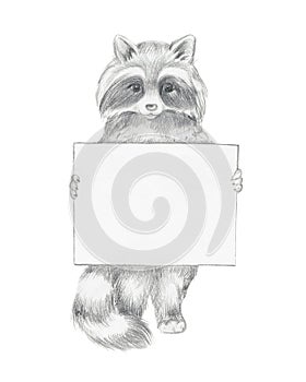 Raccoon.Hand drawn graphic picture