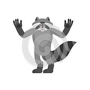 Raccoon happy. Racoon merry emotions. Coon Joyful. Vector illustration