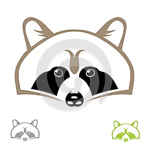 Raccoon head