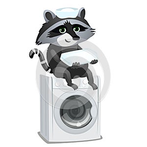 Raccoon maid sitting on washing machine isolated on white background. Vector cartoon close-up illustration.